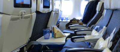 Bacteria on Airplanes Can Last for Days
