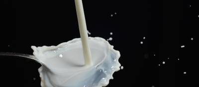 Milk May Not Protect Against Fractures, Death