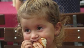 Celiac Risk: It's Not About When Infants Start Eating Gluten