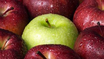 An Apple a Day Keeps Diabetes Away