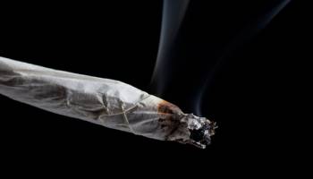 Clearing the Smoke on Teen Marijuana Use 