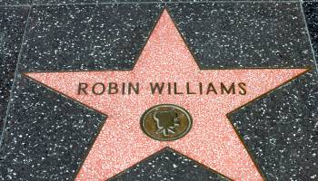 In His Last Year, Robin Williams Faced More Than Depression