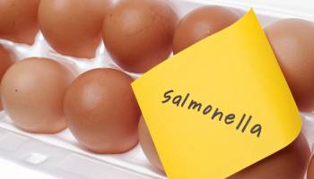 Why Is Salmonella So Widespread? 