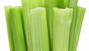 Celery Recall Expanded