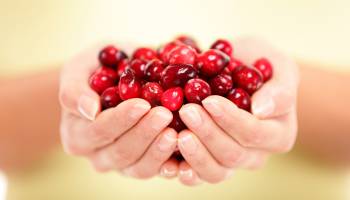 Cranberries: Not Just for the Holidays