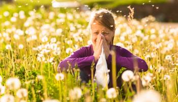 The Origin of the Allergy  