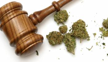 Impact of Marijuana Laws on Adults and Teens