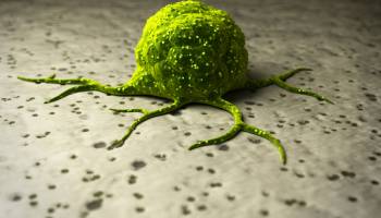 Cancer Cells—Prepare to Self-Destruct! 
