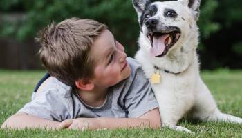 More Pets, Less Asthma?