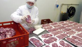 Salmonella Outbreak Tied to WA Slaughterhouse
