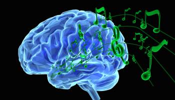 Your Brain's Music Box