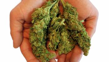 'High' Grades: Pot May Lead to Lower Scores