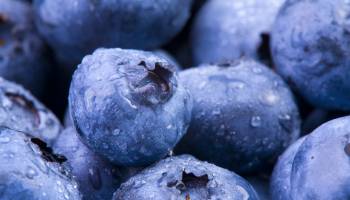 Berry, Berry Good: Blueberries May Boost Heart Health
