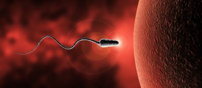 Drinking Alcohol May Affect Quality of Sperm