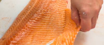 FDA and EPA Update Advice on Eating Fish