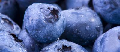 Berry, Berry Good: Blueberries May Boost Heart Health